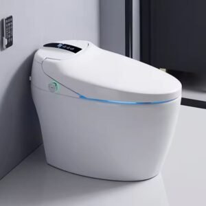 Smart Toilets